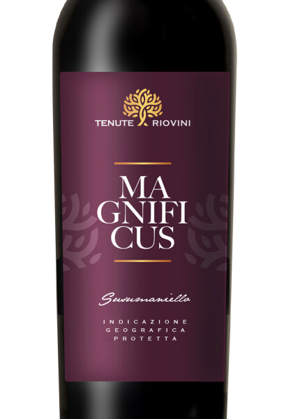 etichetta susumaniello 417x600 Design etichette vino   Tenute Riovini